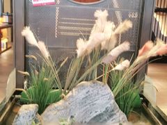 -巴盟人家·内蒙地方菜(华丽家族店)