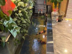 -洞庭家宴·头牌甲鱼(广渠门店)