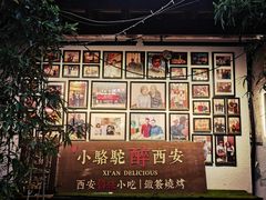 -福苗小骆驼烧烤(莲湖路店)