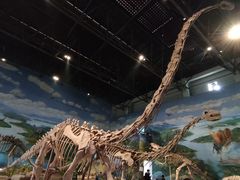 -自贡恐龙博物馆