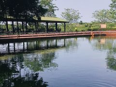 -侯臣咖啡文化村