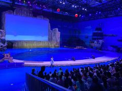 -华夏文旅海洋公园