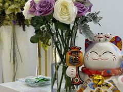 -泰康拜博口腔(世博园乐尔店)