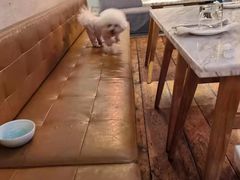 -the rug 飞毯 (朝阳公园店)
