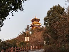 -杭州半山国家森林公园