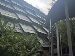 -周口店北京人遗址公园
