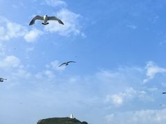 -海驴岛(荣成市)