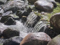 -共青国家森林公园-售票处