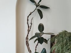 -龙猫意杯花园餐厅(芙蓉湖店)