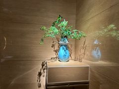 -浅深(北京北四环精品店)