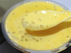 凤凰奶糊+西米-百花传统甜品店(原址店)