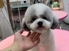 -FAELING PETS美天灵宠物(富力广场店)