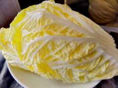 白菜-鑫龙火锅城(青岛分店)