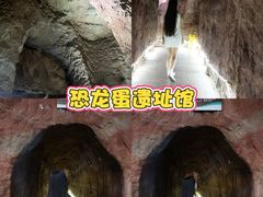 -中国西峡恐龙遗迹园