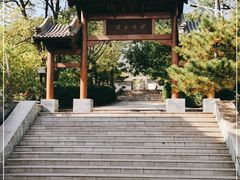 -阳台山自然风景区