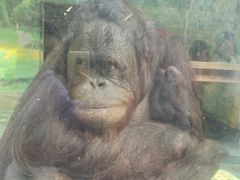 -泉州海丝野生动物世界