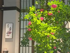 -墨宴(西洋湖店)