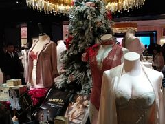 内衣-Victoria's Secret(苏州中心全品类店)