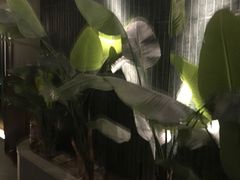 -涟LIAN·泰式按摩·MASSAGE·SPA(华强北店)