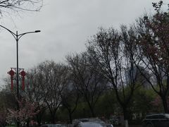 -陕西自然博物馆