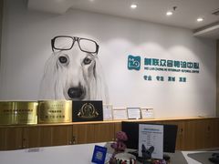 -美联众合动物医院·24h转诊中心
