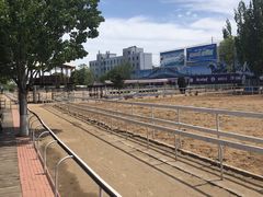 -大连凯洋马术俱乐部有限公司