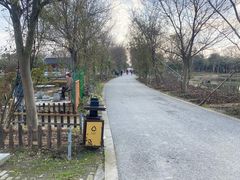 -鹅湖玫瑰文化园