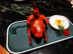 红烧乳鸽-大鸽饭(北京路店)
