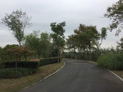 -梁鸿国家湿地公园