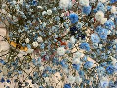 -花邻FloweringLife花艺气球派对(武康大楼店)