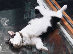 -猫的天空之城概念书店(杭州南宋御街店)