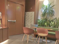 -奈雪的茶(石家庄万象城店)