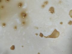 -特色口水鱼馆