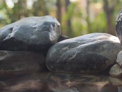 -张家港金凤凰度假村温泉