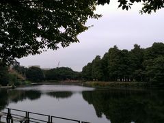 -广州蓓蕾剧院