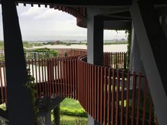 -芒洲湿地公园