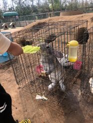 -前小桔亲子创意农场·草莓采摘·露营烧烤