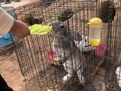 -前小桔亲子创意农场·草莓采摘·露营烧烤