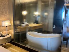 -上海浦东星河湾酒店