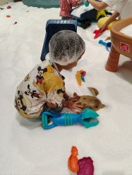 -奈尔宝家庭中心·亲子早教·派对餐厅(北京东坝万达店)