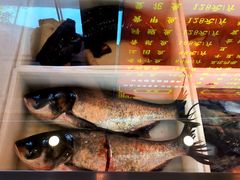 -江湖水乡铁锅炖魚(周庄嘉园店)