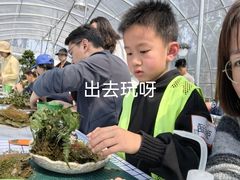 -嘉北郊野公园