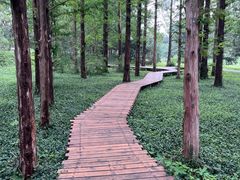 -国家植物园南园