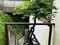 -青竺·青竹茶舍(断桥店)