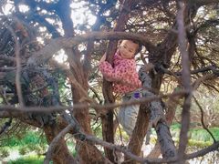 -中国福利会少年宫