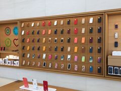-Apple零售店(苏州店)