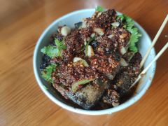 -合肥滨湖国家森林公园