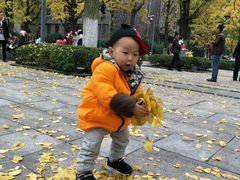 -百林公园-两江幸福广场