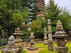 -兴教寺