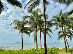 -三亚湾海居铂尔曼度假酒店